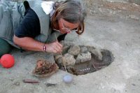 Opgravingen in Berenike, Egypte 